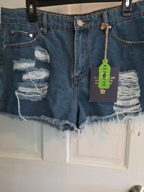 Jean Shortd Indigo Rein Distressed Denim Shorts in Blue